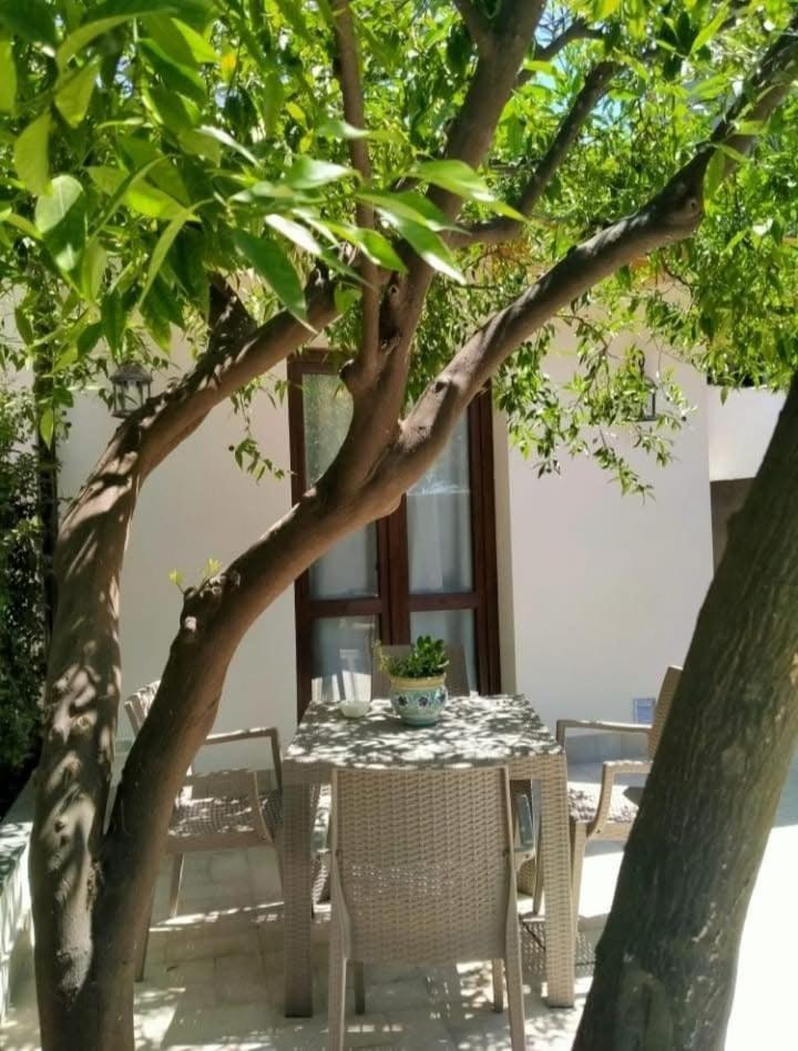 Casa Vacanza Il Mandarino Виагранде Экстерьер фото